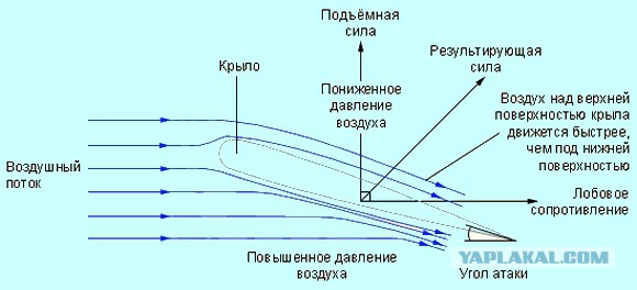 Они не ожидали такого поворота событий.