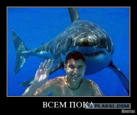 Пришло вот на почту...
