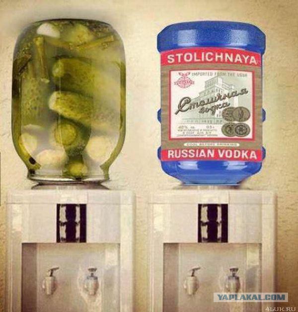 Прикольные картинки