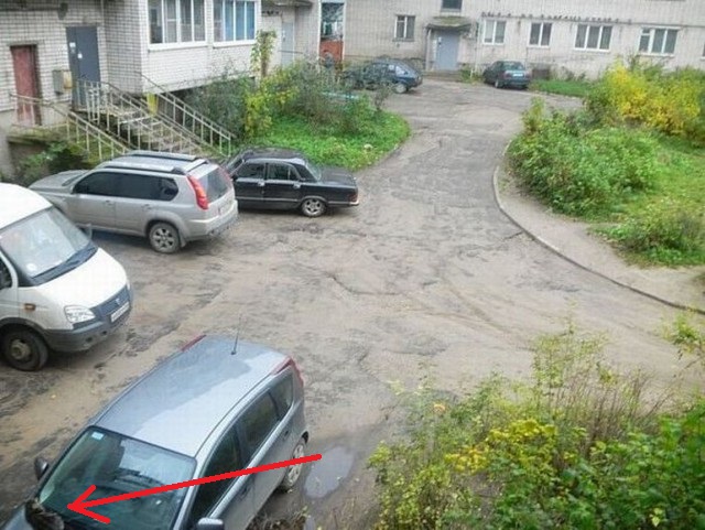 Подруга спалилась. На внимательность.