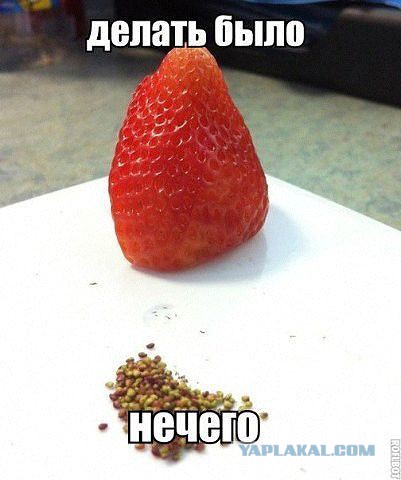 Подборка веселых картинок