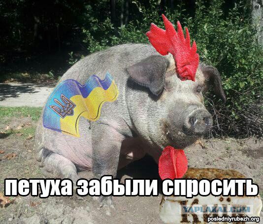 От вежливости не спрячешься