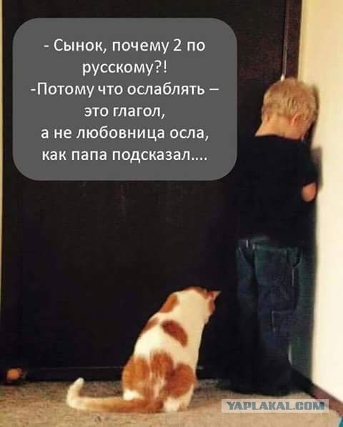 Это гениально!