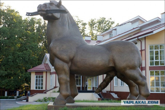 Свежая, утренняя, подборка картинок.