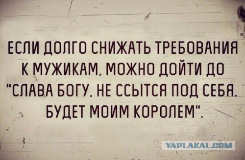 Мачо для Мохначо