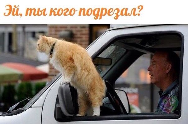 Подборка интересных и веселых картинок