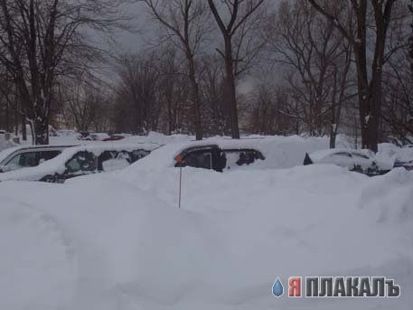 ЗИМА. Зимние картинки, отмороженная подборка