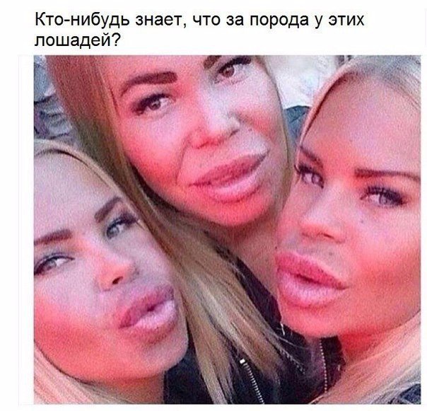 Ужасы и приколы из соцсетей 18+