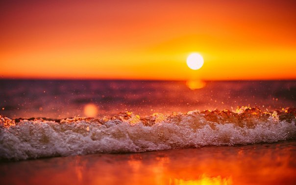 Интересные и веселые картинки