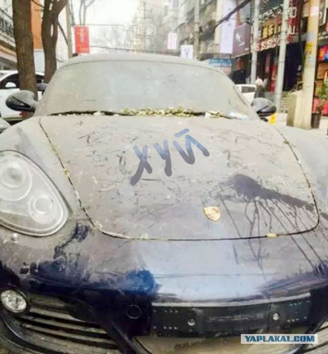 Великое стояние в Китае