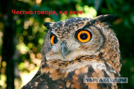 Ваше имя во времена викингов