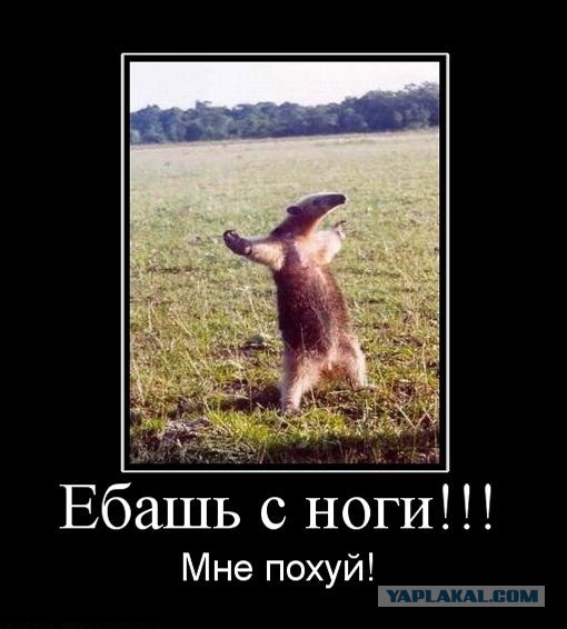 Картинки на понедельник