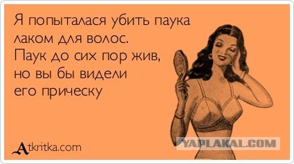 Смертоносные домашние животные дамы из Австралии