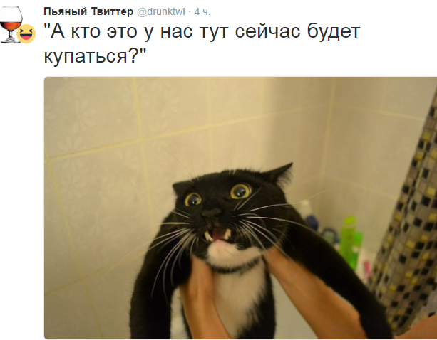 Смешные картинки из сети на 04.11.16