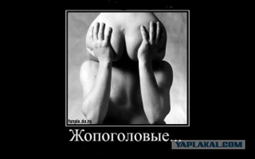 Королевы гламура рвут соцсети ч.2