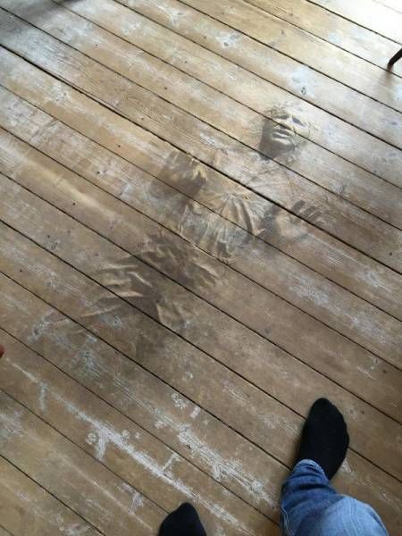 Подборка безудержного веселья
