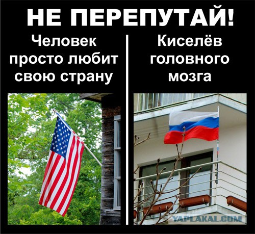 Макаревич заявил, что его тошнит от слова "патриотизм"