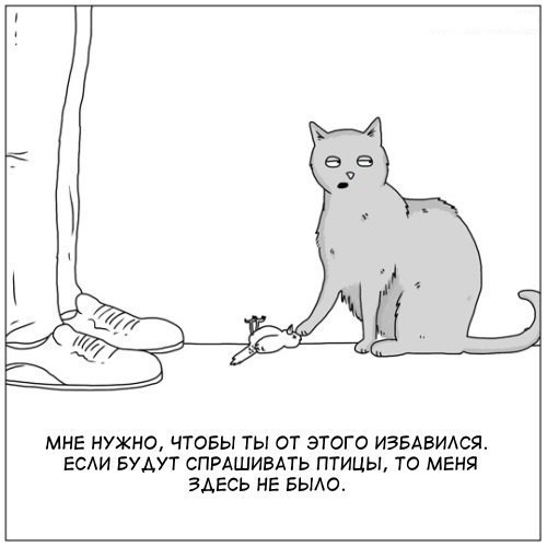 Честно, я не знаю, что тут происходит