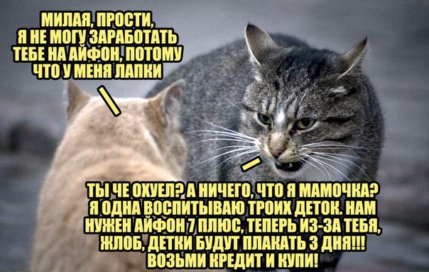 Веселые пятничные картинки