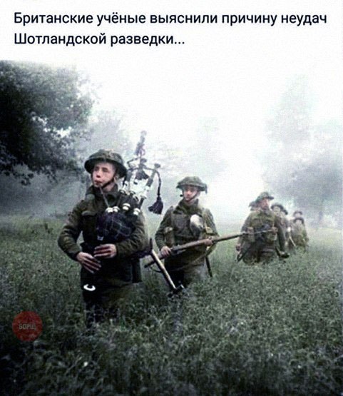 Приколы в картинках или прикольные картинки?