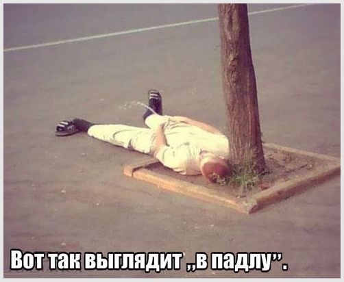 Люди, которые знают толк в настоящем пофигизме
