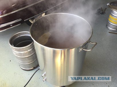 53 факта о пиве, домашнем пивоварении и фестивалях от настоящего профессионала