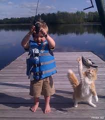 Незабываемая первая поездка на рыбалку нашего кота Васи