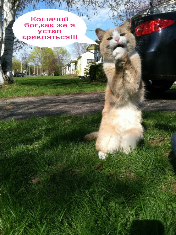 Не хочу!!!