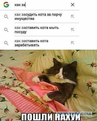 Подборка интересных и веселых картинок 23.12.18