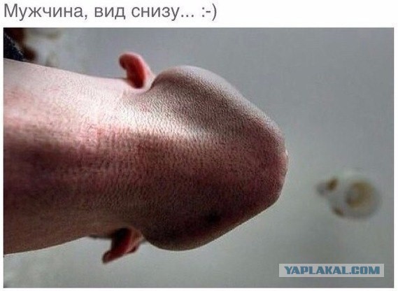 Разные по свежести картинки. Опять