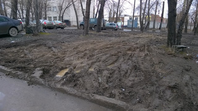 Наехала автомобилем из за собачьего говна