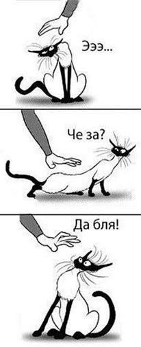 Ушёл за холодцом