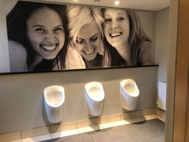 13173068.jpg