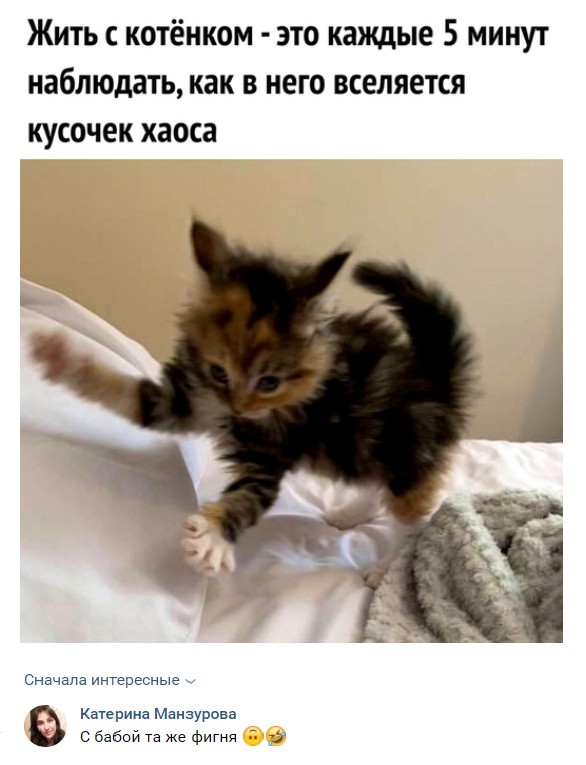 Картинки с надписями и анекдоты 24.7.19