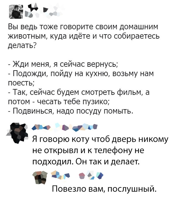 Картинки 02.09.2019