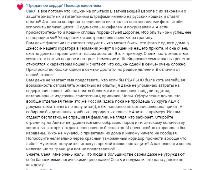 Помогите вернуть кота! Приют "Преданное сердце" украл кота и не отдает!-2