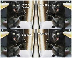 Мужчины умнеют. Женщины негодуют