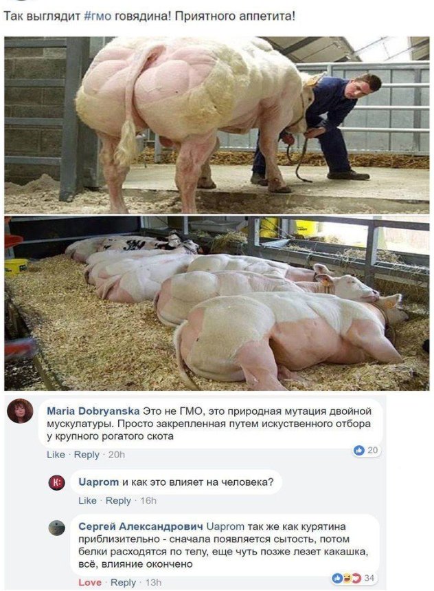 Бредзона 23.02.20