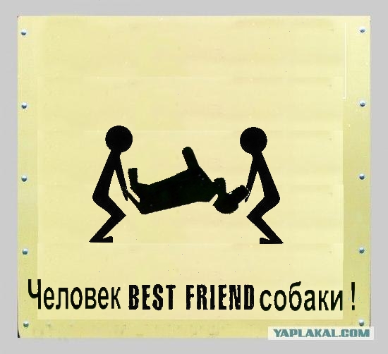 Фотожаба: Собака друг человека