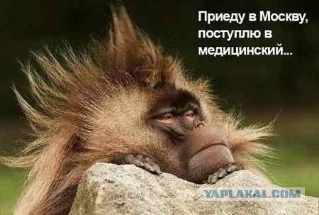 Проспал экзамен!