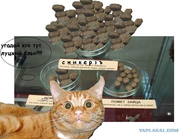Удивительное рядом