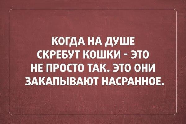 Фотки и картинки: юморные и красивые, забавные и милые 19.10.20