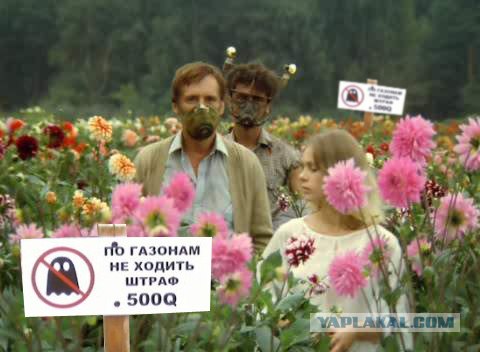 Фотожаба: По газонам не ходить!