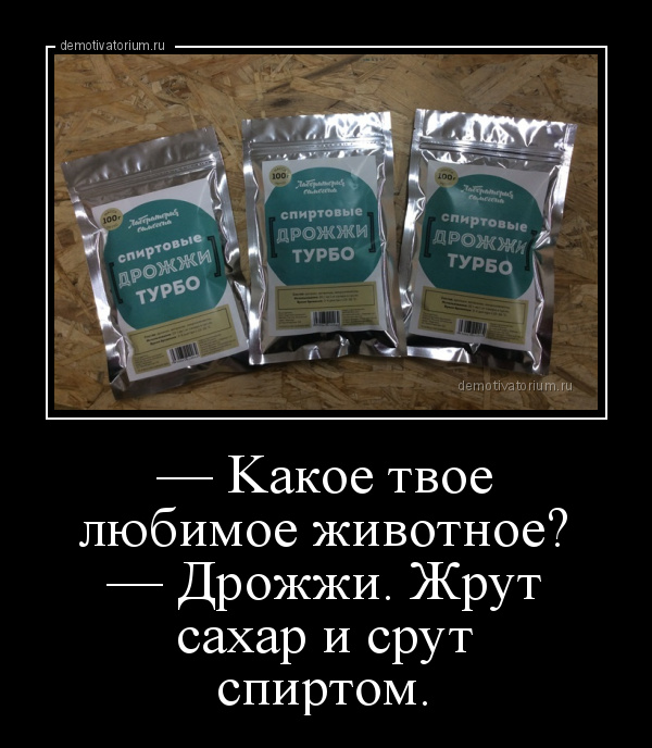 Алкопост 16.01.21