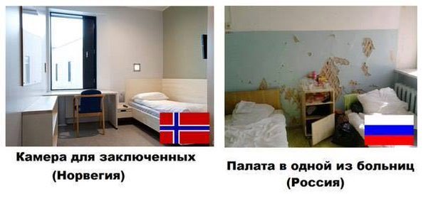 Картинки разные 26.01.2021