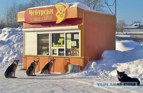 Жизнь городских окраин