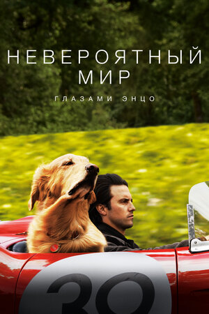 Бим и Хатико