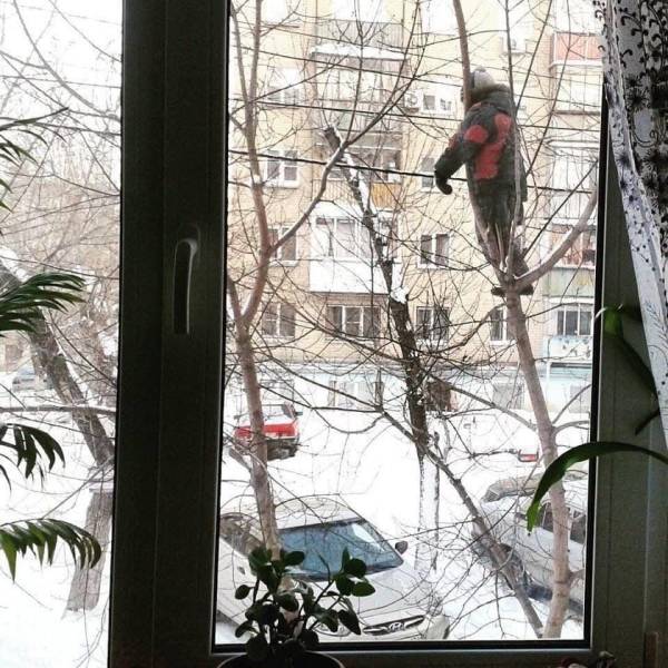 Картинки 12.02.21