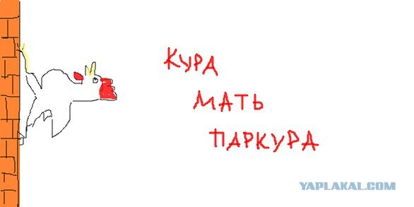 Паркур в Люксембурге