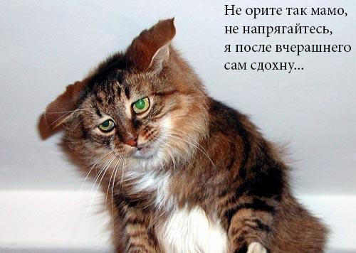 Прибор-релаксатор домашний, урчащий